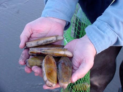 buzzfeeds_net's tweet photo. Long Seashore WA ... - http://t.co/swCMoVCzod - #LongBeachCoastGuard #LongBeachPeninsula #LongBeachPeninsulaLodging http://t.co/OoQNYVaQBF