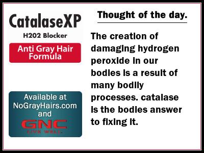 NGHCatalase's tweet photo. Catalase the body's answer to H2O2. See image. From http://t.co/UtJ8oDFY3a #catalaseh2o2blocker http://t.co/ViklDBEItE