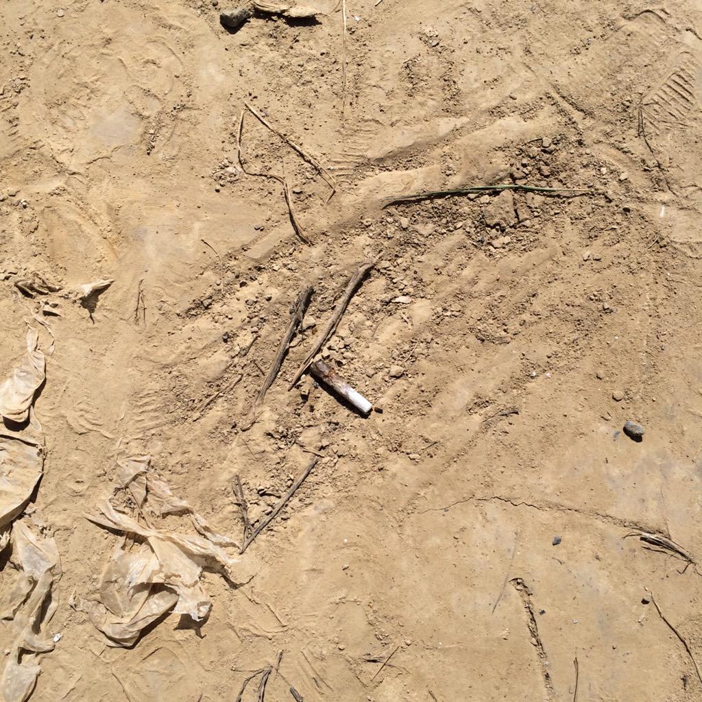 UweMeis's tweet photo. Und überall am Wegesrand fielen Menschen die Tütenstummel aus der Hand:) http://t.co/6TDSfq1FCM