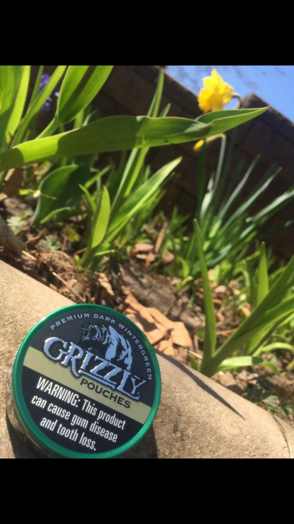 tinsoftheworld's tweet photo. Beautiful Day in Ann Arbor, Mi submitted by @Dsupica3 #GreatDayForADip http://t.co/qD5RpGxrtw