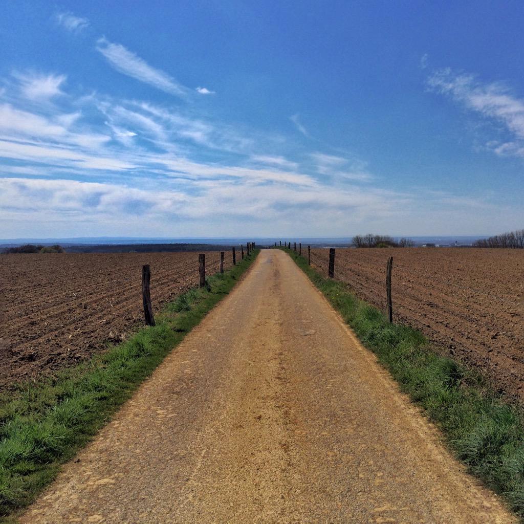 UweMeis's tweet photo. Heute 67km mit dem Bike durchs bergische geradelt. Kurze Pause mit ein paar Fotos &amp; trinken, sinnvoll genutzt😅☀️ http://t.co/kpMtU3XEL5