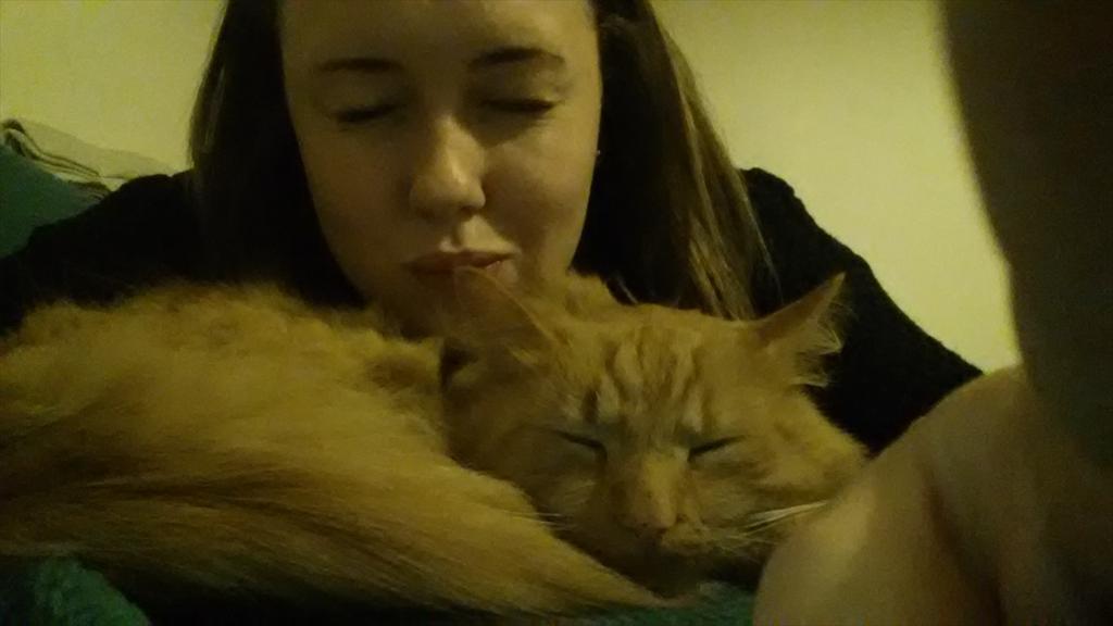 becky_lou30's tweet image. #O2HappyCat