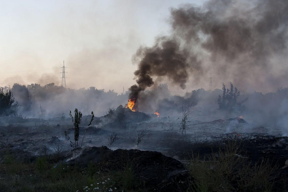 #ecoreati ddl subito, la Terra dei Fuochi grida al mondo il dolore dei suoi figli ilfattoquotidiano.it/2015/04/15/eco…