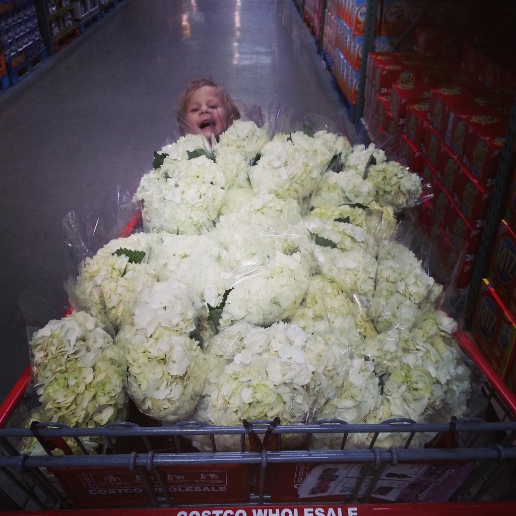 BoxSocialYEG's tweet image. Can you spot the kid? #eventplannerproblems #flowersfordayssss