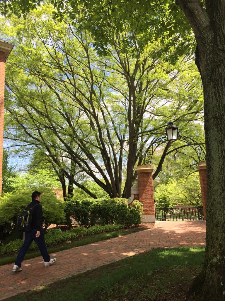 WakeForest's tweet image. It's a glorious day in the Forest! #WFU19 #SpringintheForest #WFUThrive