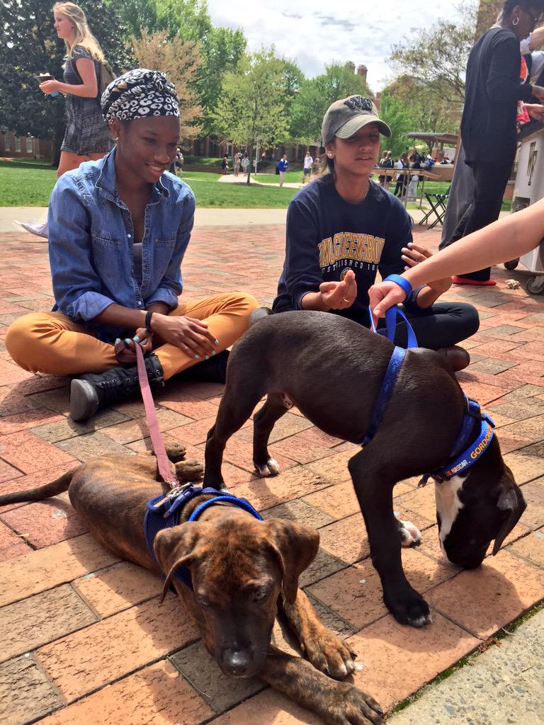 WakeForest's tweet image. It's a glorious day in the Forest! #WFU19 #SpringintheForest #WFUThrive
