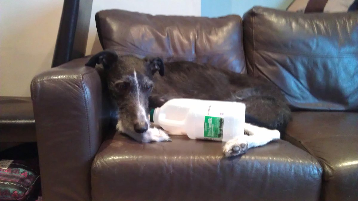 BubbulaHound's tweet photo. Me bruvva is be saving his. http://t.co/3dDYCiwRIq