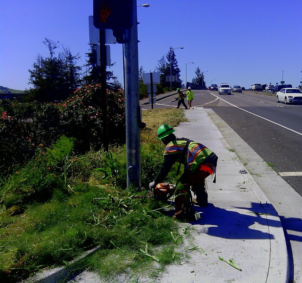 Crew 2 San Rafael tweet media