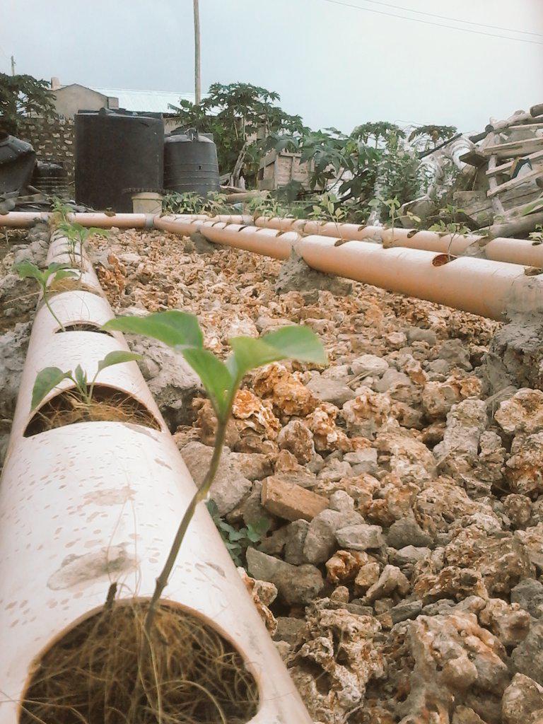 pwani_hydrotech's tweet photo. #WhereTechonologyMeetsNature @amiran_kenya @CalebKaruga @Baltonuganda @mkulimayoung @demeterfarms @mkulima_mobile http://t.co/xDci3RGkBg