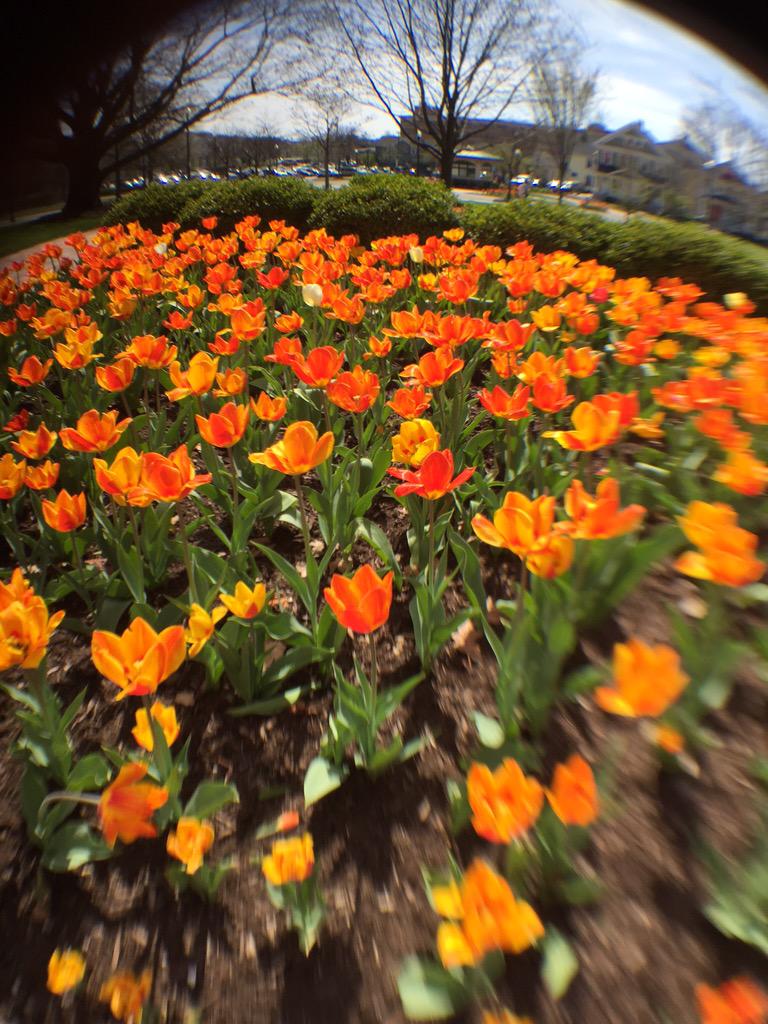 PACE_UD's tweet photo. Walk on over to 429 College Park right now and get some interviewing tips from Professor Adams! http://t.co/O4dY15oyRB