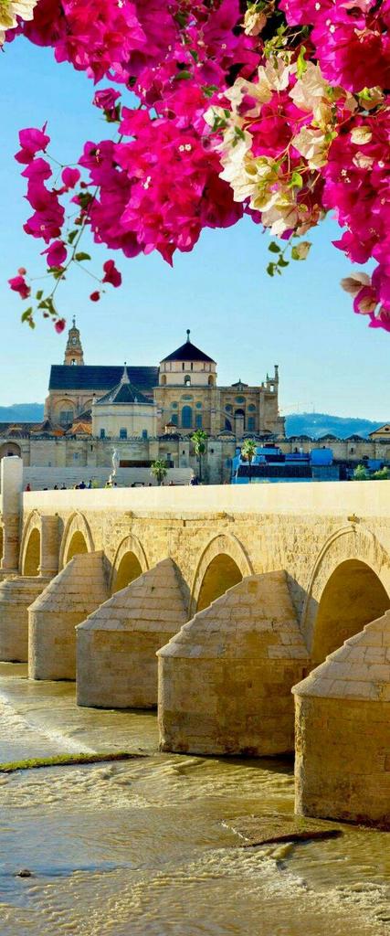 CordobaEnamora's tweet photo. ¿Qué lugar de #Andalucía recomiendas? #yoRecomiendoCordoba
Rt si estas de acuerdo http://t.co/RrVO94kKgl