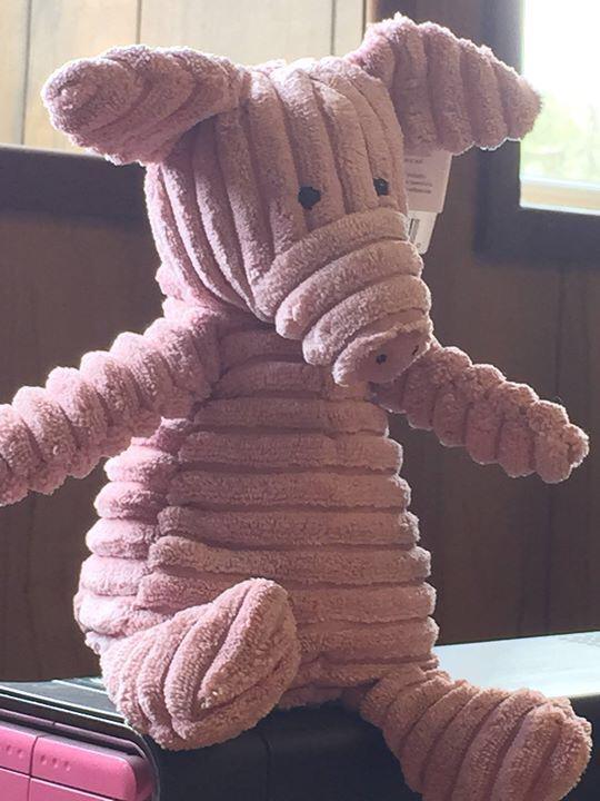 TeamHamTrailtrk's tweet photo. Meet our team mascot. @TeamHamTrailtrk love the ham! http://t.co/a9ed8z7JNe