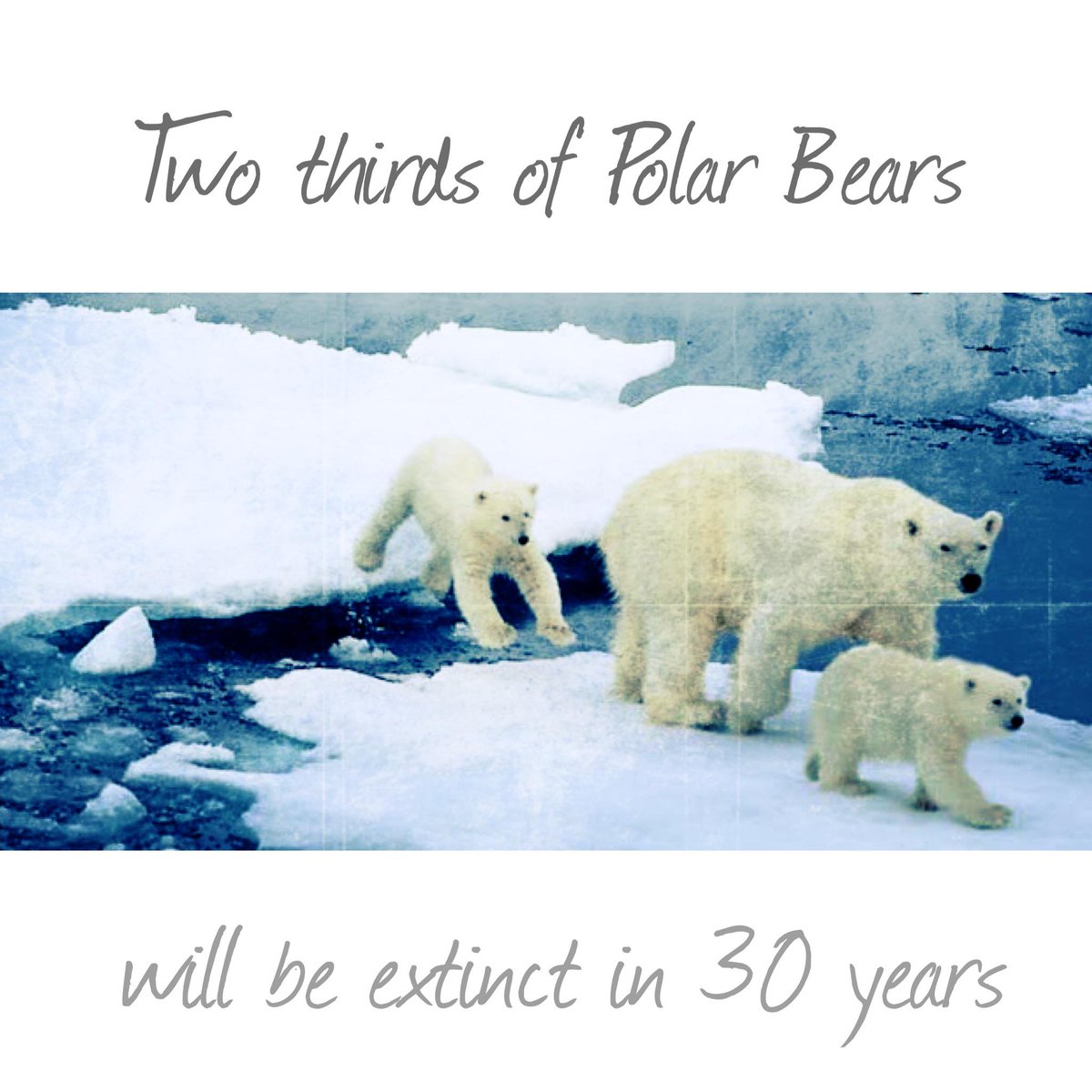 SustainableRMC tweet picture