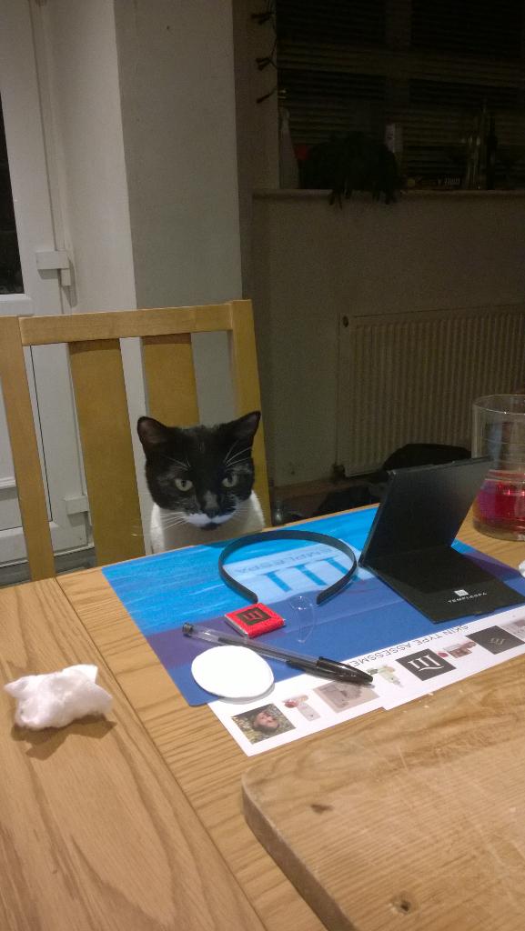 NonstickVic's tweet image. @O2 Raoul enjoying his temple spa night #O2HappyCat