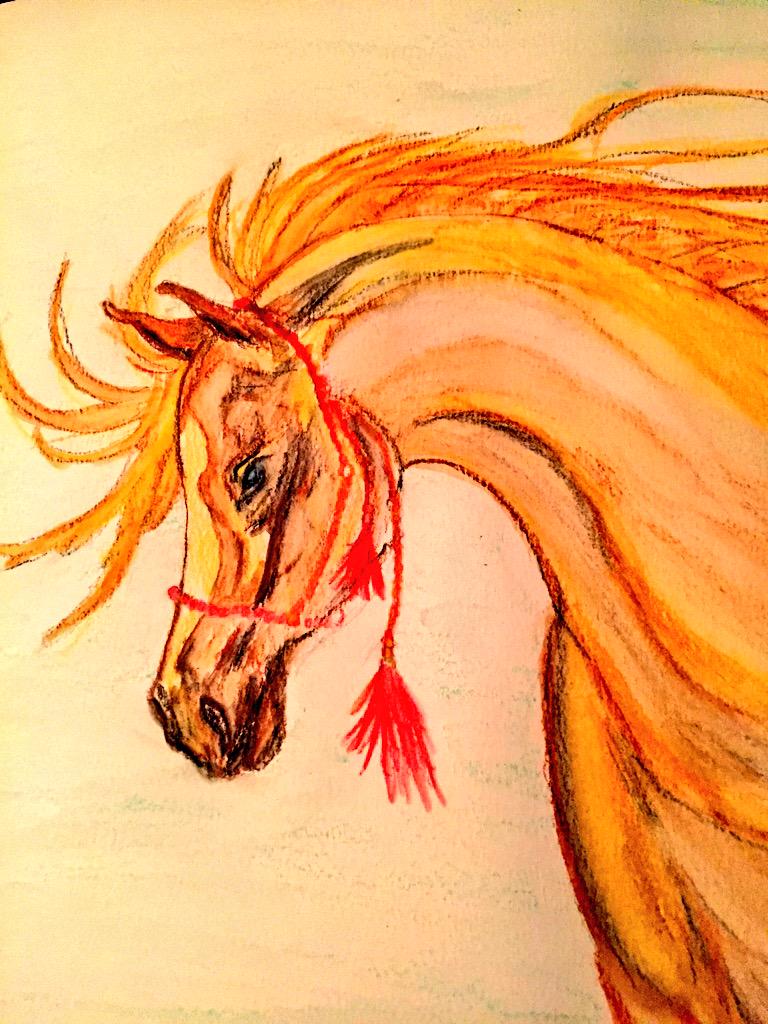 HailsHayley's tweet photo. Arabian in Water Colours #havingaplay #horses #myart http://t.co/m3DqWhPnze