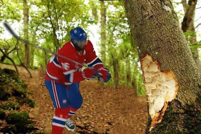 Yeah, welcome back PK