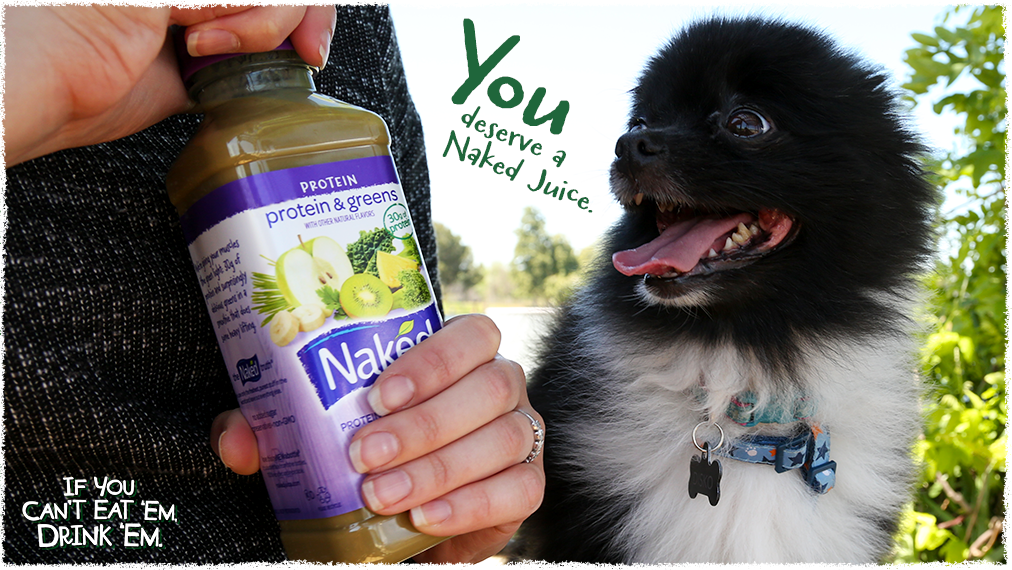 nakedjuice's tweet photo. Weekend to-do:
✔️ Go for a run
✔️ Groceries
✔️ Dog park
✔️ Veggie out! 🎉🎊🎉 http://t.co/THjaRcsSA2