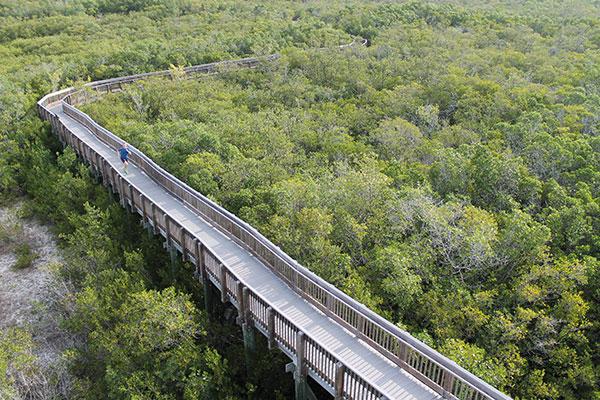 runnersworld's tweet image. These rave runs are absolutely gorgeous! bit.ly/1JRTWzg