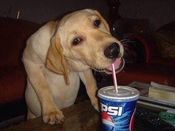 umjoseai's tweet photo. eu antes e depois de comer http://t.co/dGDKCdMBxo