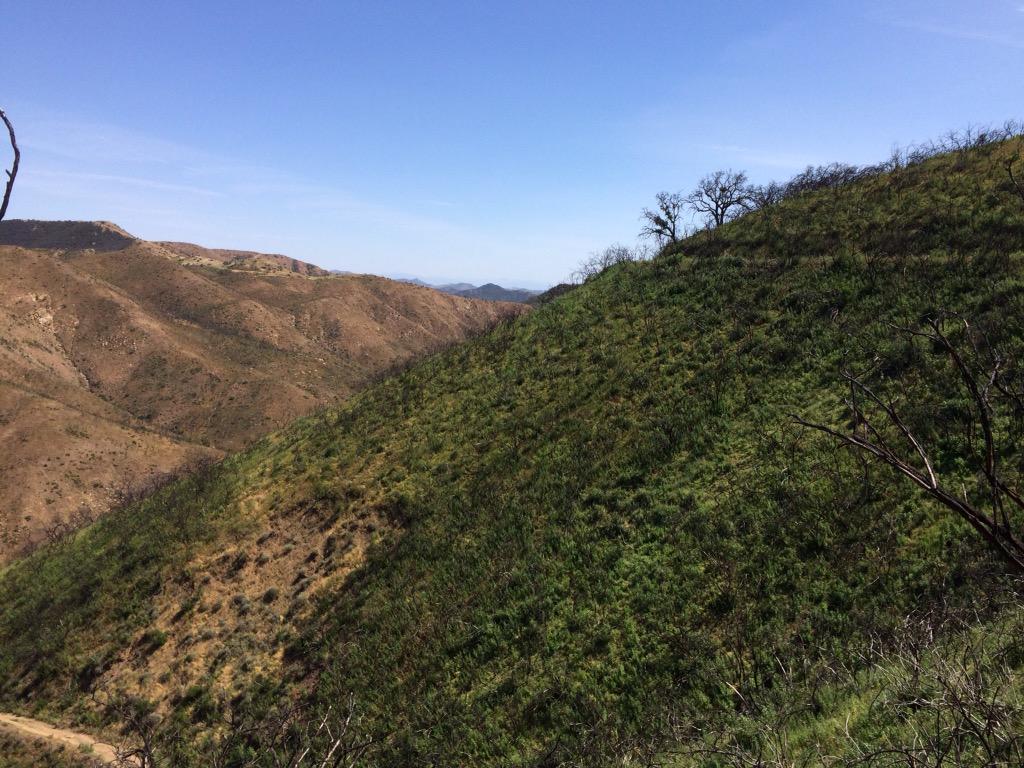bunnyfoot1's tweet photo. #springsfire07 date of photo April 2 http://t.co/7A0G7GMir0
