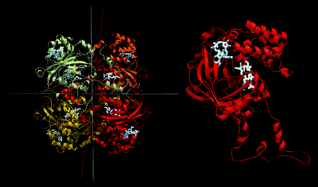 NGHCatalase's tweet photo. #catalaseendsgray http://t.co/qoOB92IvGo http://t.co/x6BsssuZ7T