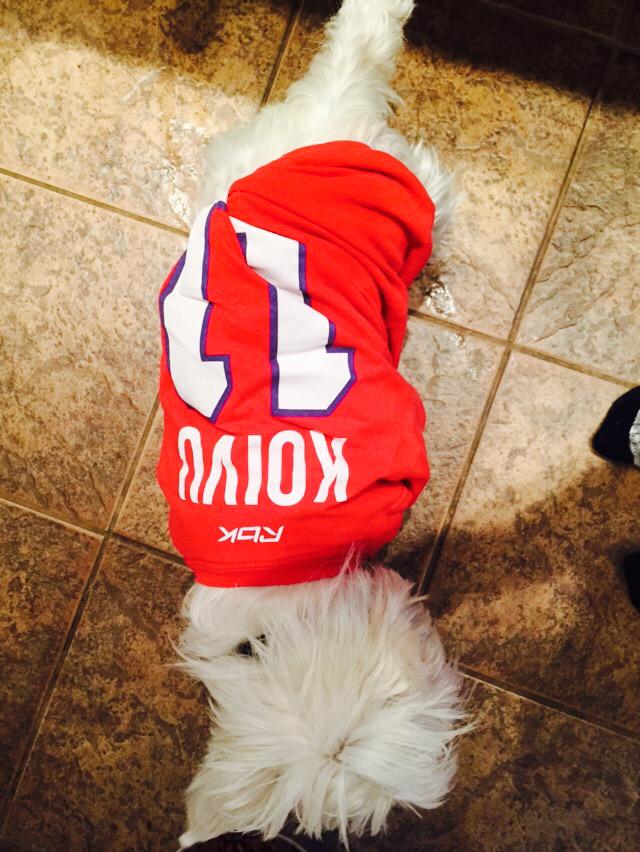 clovisgrise's tweet image. Go Habs Go! Ancien chandail de Koivu mais le numéros 11, c'est pas Gallagher ça!? 😜😋🔵⚪️🔴