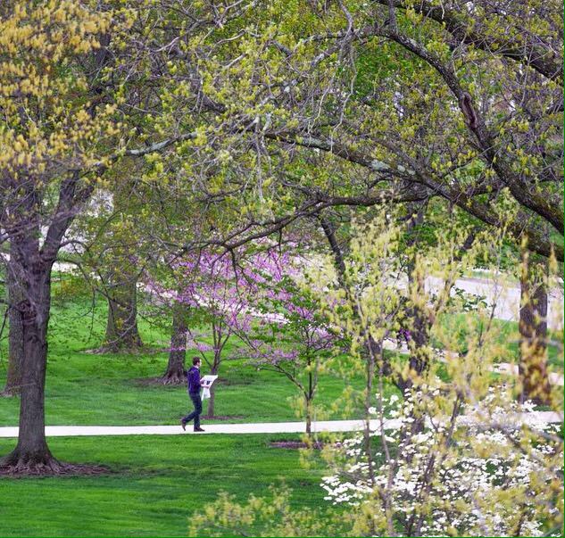 CentreC's tweet photo. Spring, finally. http://t.co/2loTPu6hZP