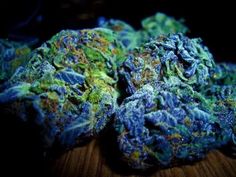 Uber_Genius's tweet photo. @PrairieHedge Blue Sky Sativa http://t.co/xRhwfCwoVr