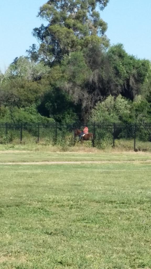 A horse went by and <a href="/_Alexxros/">baby groot</a> said, "No car, no problem." 😂😂