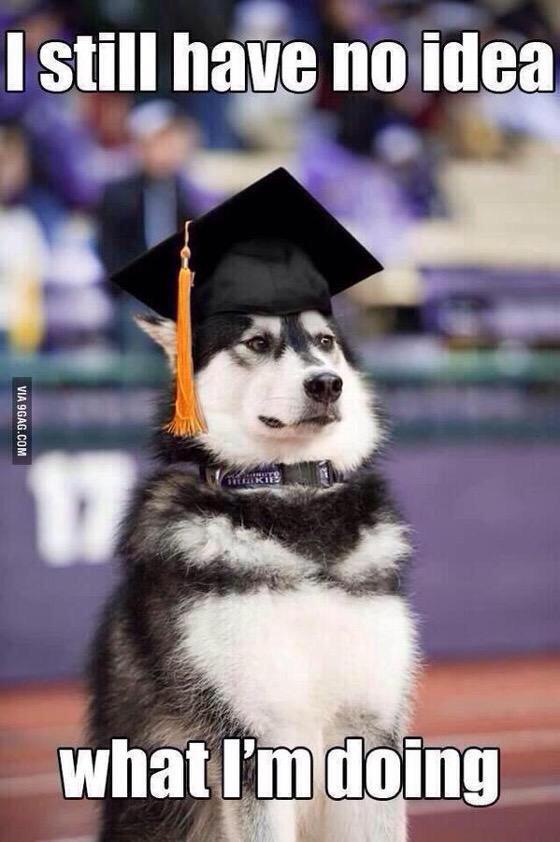 TheColIegeLife's tweet photo. me when I graduate http://t.co/XTlOykR3e6