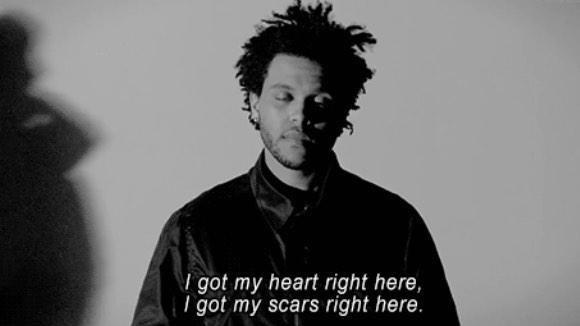 letsgetlost12's tweet image. 