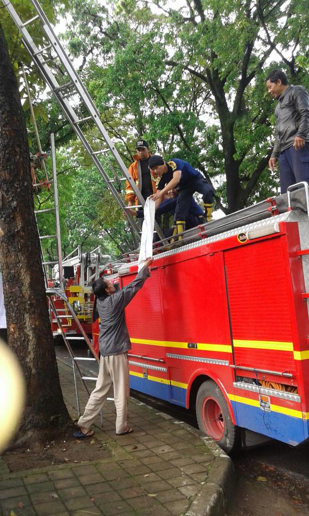 Api45Api's tweet photo. Tim rescue damkar usai evakuasi kucing terjebak di atas phn jl saung galing dago http://t.co/Pj6rPPKPJy