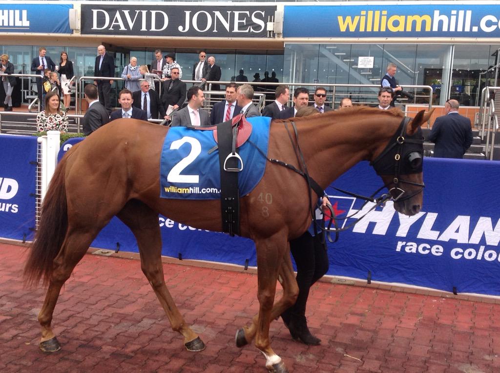 RVCarps's tweet photo. JILEK'S SPUR chasing clean sweep of Macktow Marathon Series @MRCTracknews for Ciaron Maher VIC #HomeofStayers http://t.co/mHrOzLUTHB