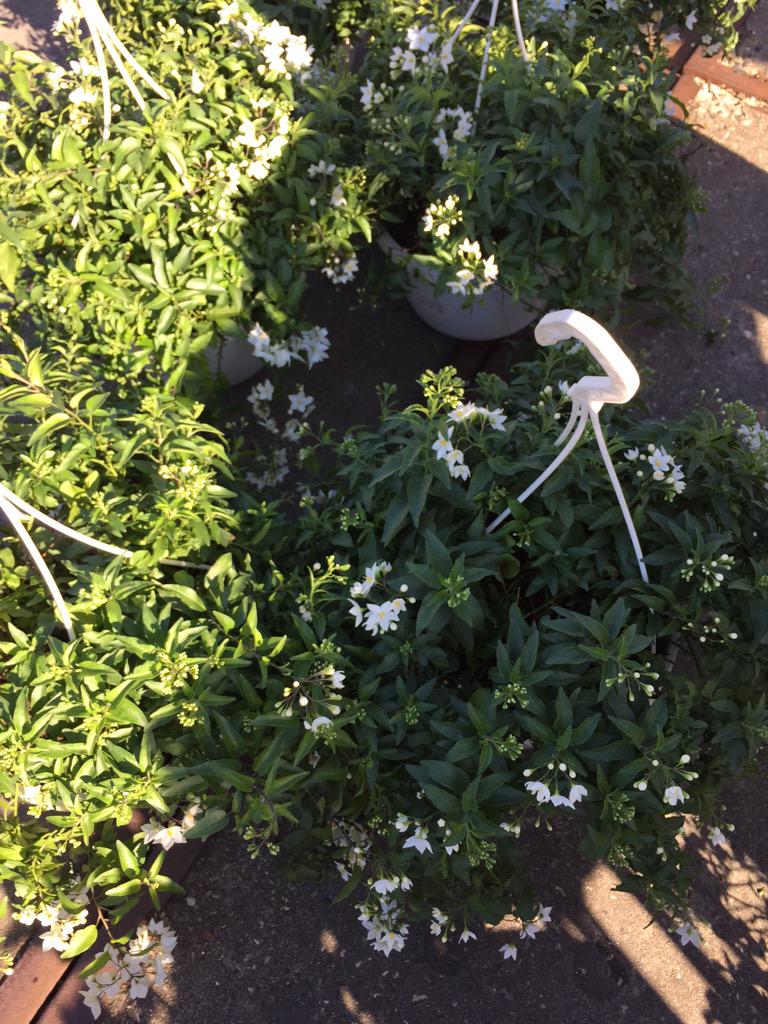 Fair aanbieding Soap and Garden €10.                Op=Op