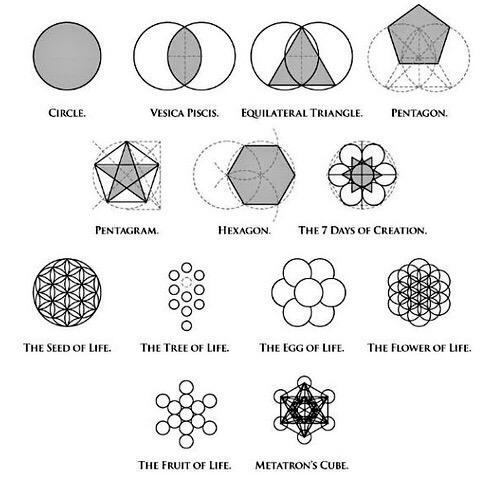 Robyn Joy tweet media