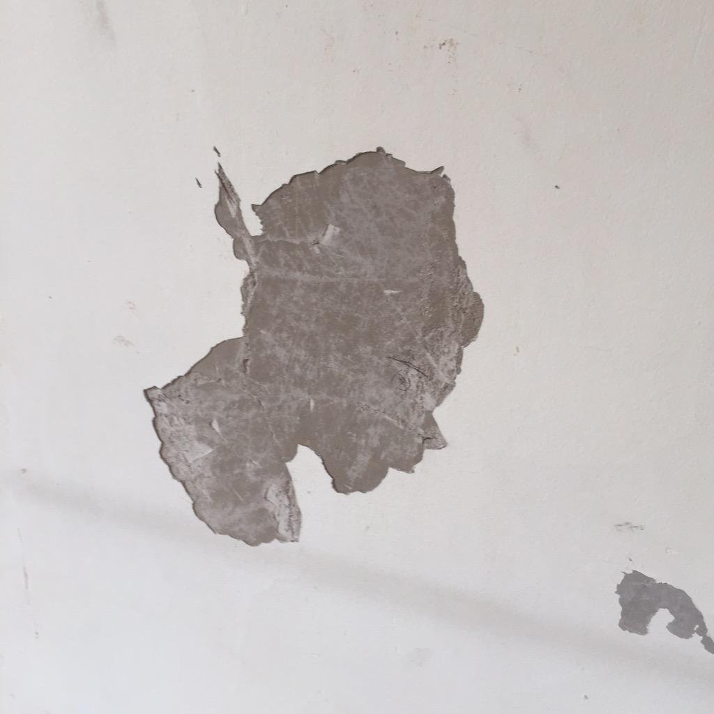 smjoiners's tweet image. on a job stripping wall paper . Left some unusual images