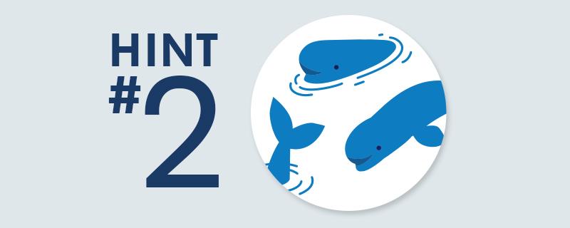 VWcanada's tweet photo. Looking for baby BELUGA in the deep blue sea? It swims wild, free and to the right! #FindSportwagon #hints http://t.co/arJvXZAG2z