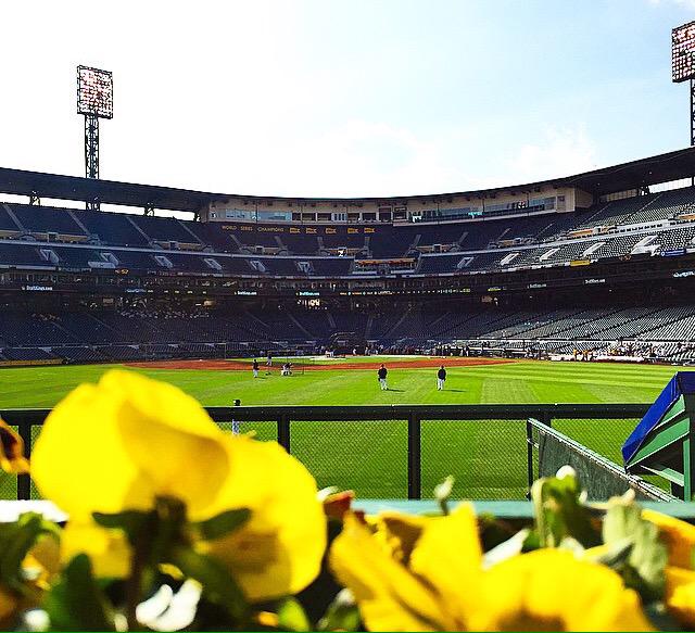 Pnc_Park's tweet photo. ⚾️🌼🌻 http://t.co/1YXxA2BqIK