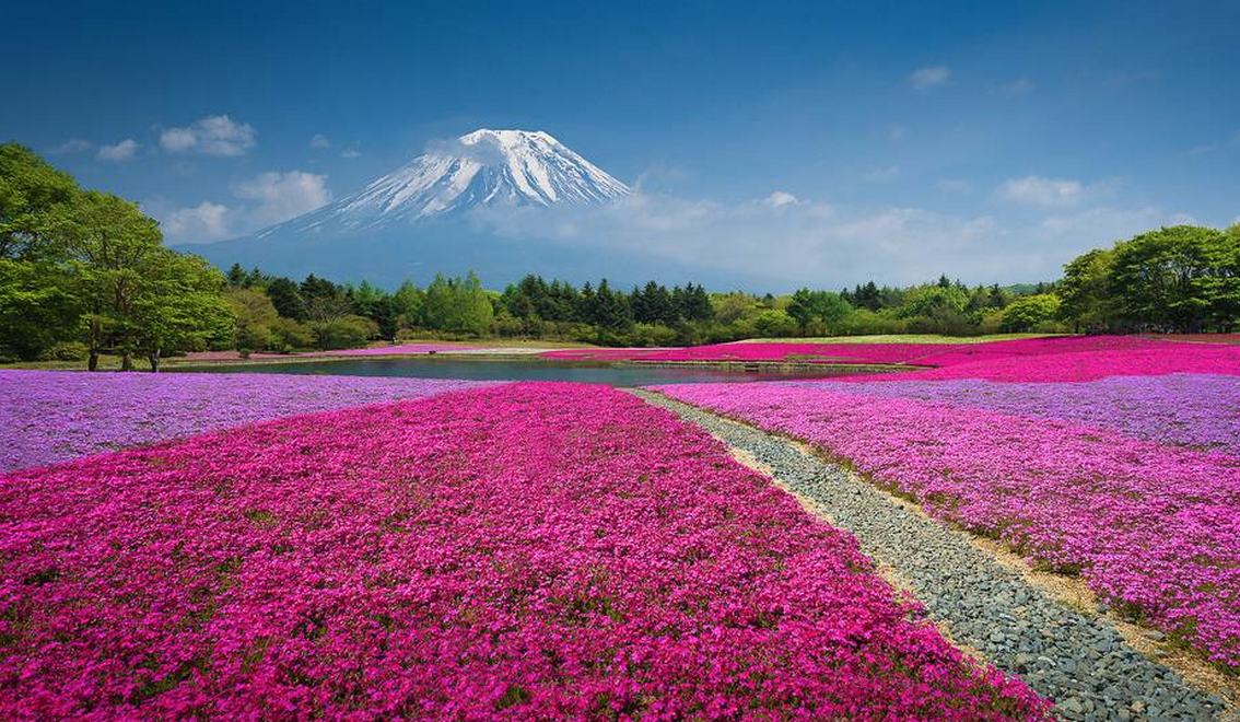 CultureTrip's tweet photo. 10 Most Beautiful Towns In Japan To Visit This Summer http://t.co/FOliqUO5LW #sugoi #mountfuji http://t.co/Zt1mzHG8SG