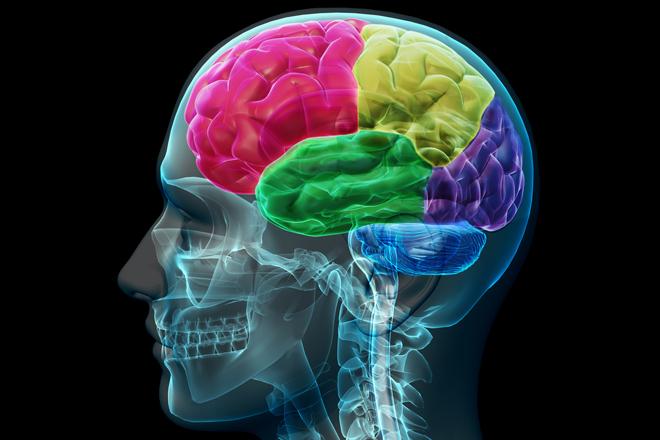 World's tweet photo. Psychology is the brain trying to comprehend itself. http://t.co/PjieNLlkN3