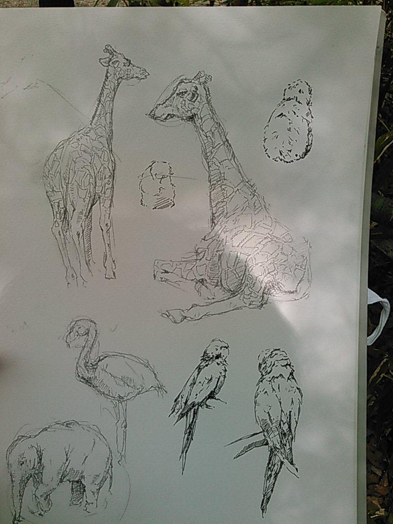 動物園の 