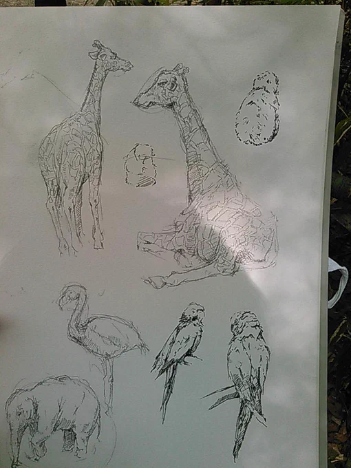 動物園の 