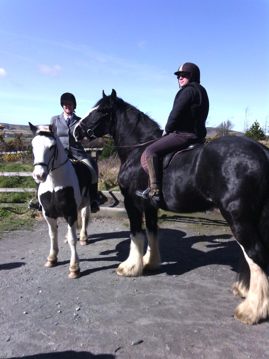 for anyone who's interested, happy ponies out hacking!! life's good