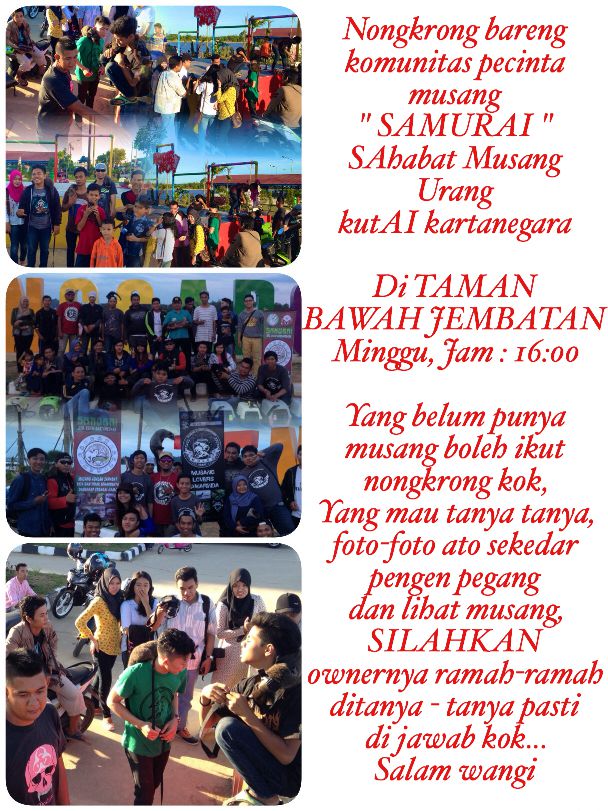 Ilham Akbar (@gilaberoda) on Twitter photo 