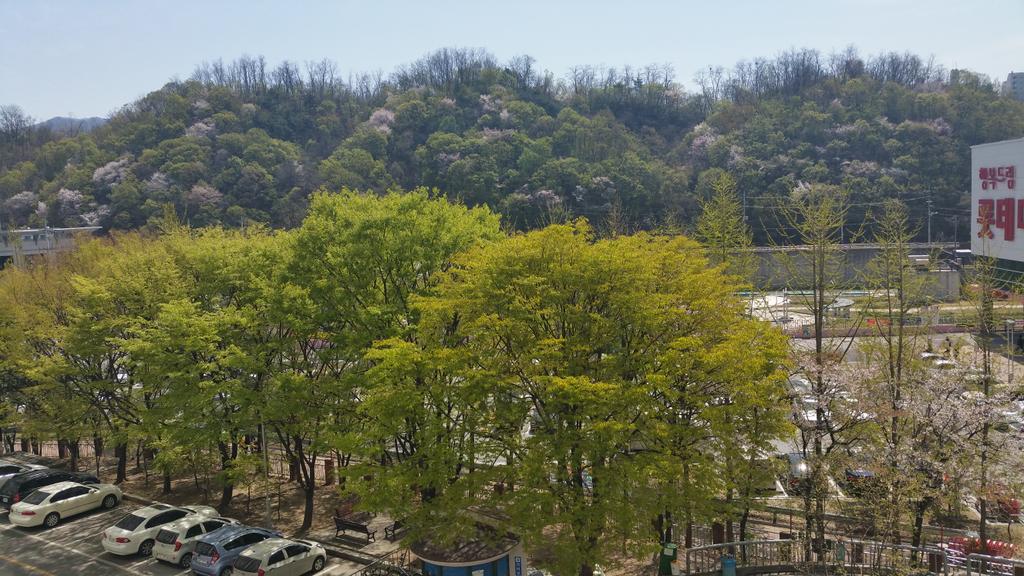 겨울내내 앙상한 가지들만 보여줬던  집앞에 작은산은 푸른잎과 꽃들로 덮여있다ᆞ
시간이 지나고 계절이 지나면서 푸르름은 또 찿아오고ᆢ 어쩜 우리들의 일상도 기다리고 또 기다림의 연속 인지도 모른다