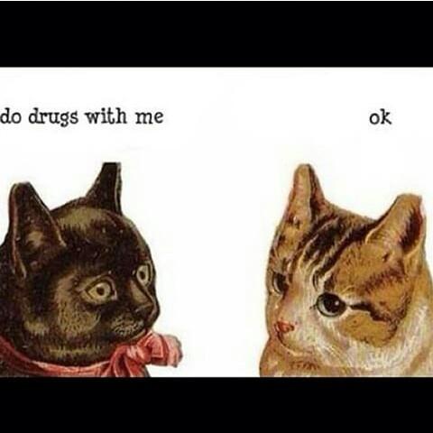 MamaSoyTorta's tweet photo. #dodrugswithme #drugs #gatitosdrogones #yotambien http://t.co/oiTwah7QKU