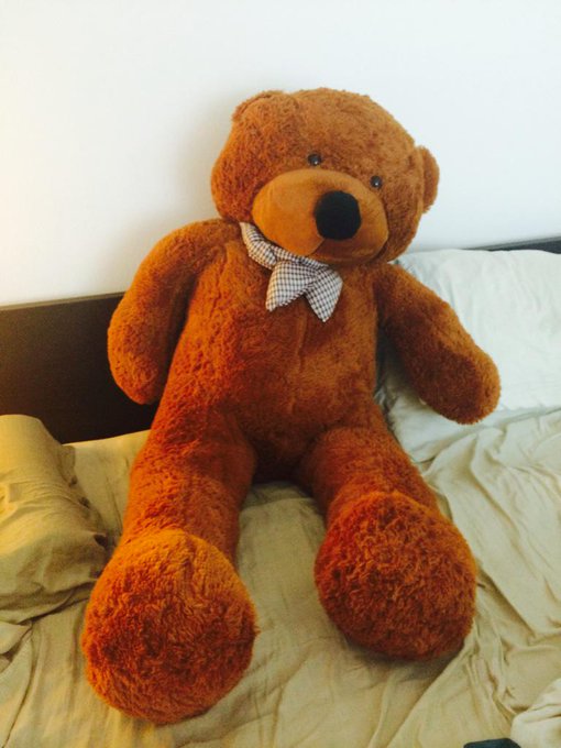 My new camming buddy, Woodhouse! #ilovehim #BFFs http://t.co/sVvrfaMROY<a href="/tag/ilovehim"class="tags">#ilovehim</a><a href="/tag/bffs"class="tags">#BFFs</a>