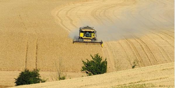 Limportant_fr's tweet photo. Danger : l’Office européen des brevets impose le brevetage du vivant http://t.co/uQN0mXkPMJ http://t.co/glRsG4oZSO