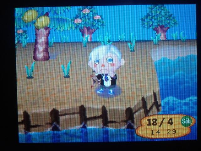 Luke Williams tweet media