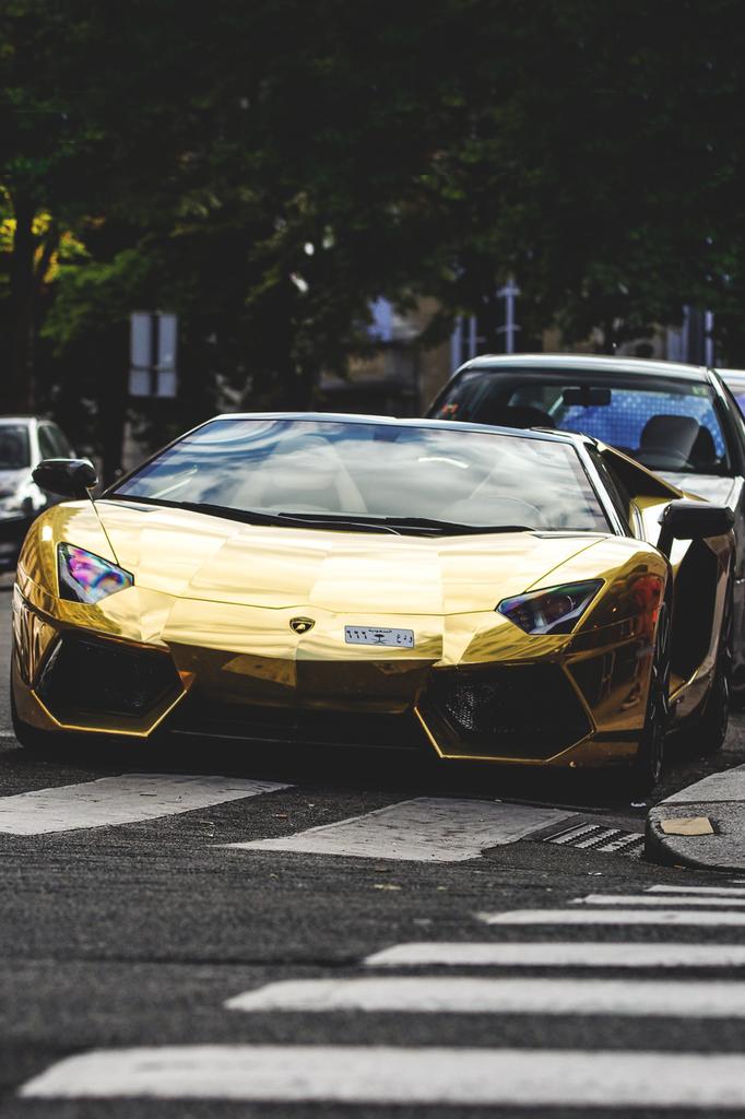 goldexotics tweet picture